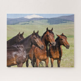 Vier prachtige paarden Jigzaag Puzzle Legpuzzel