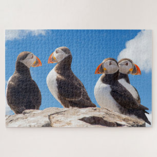 Vier Puffins staan op een rots Legpuzzel