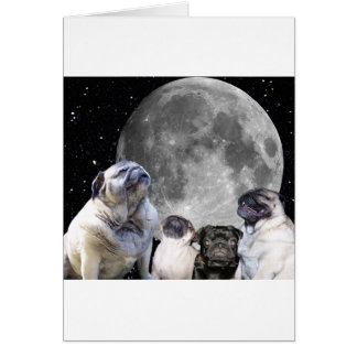 Vier Pug Moon Pug