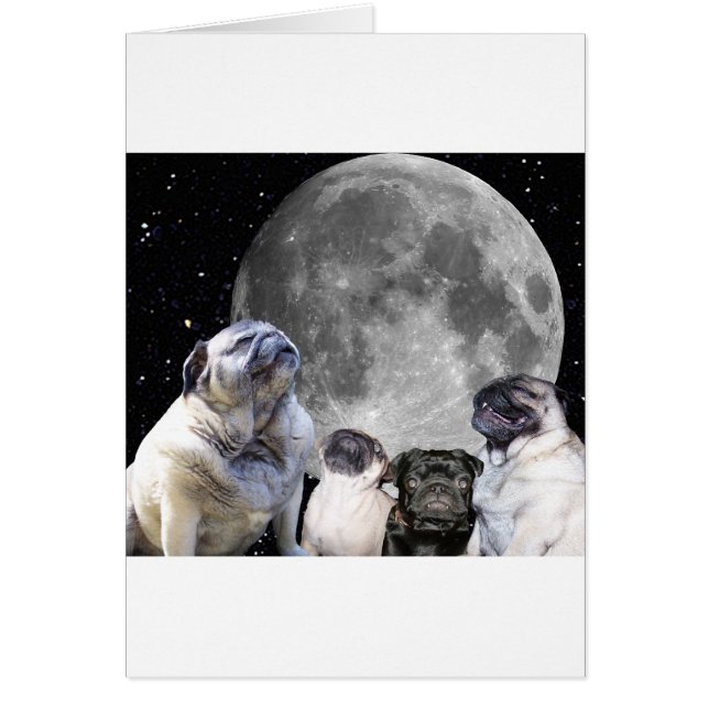 Vier Pug Moon Pug (Voorkant)