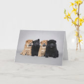 Vier "puppy" van weinig Chow-chow Kaart (Gele Bloem)