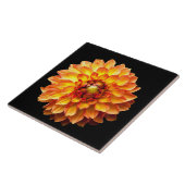 Vier Queens Dahlia Flower Tegeltje (Zijkant)