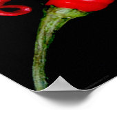 Vier Red Chilies-wapens Poster (Hoek)