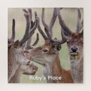Vier rode herten natuurfoto gepersonaliseerde legp legpuzzel