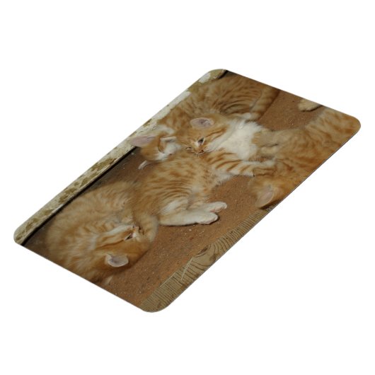 Vier rode tabletten magneet (Linkerzijde)