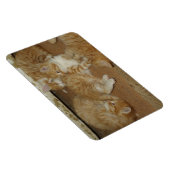 Vier rode tabletten magneet (Rechterzijde)