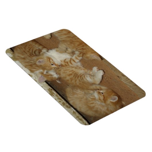 Vier rode tabletten magneet (Rechterzijde)