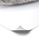 Vier rollen foto afdruk (Hoek)