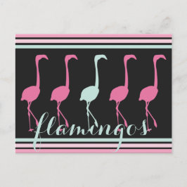 Vier roze lamingos Eén lichtblauw Briefkaart