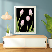 Vier roze tulpen op zwart foto afdruk