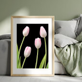 Vier roze tulpen op zwart foto afdruk