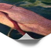 Vier Rozen van Franz Dvorak Poster (Hoek)