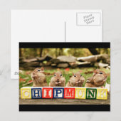 vier schattige spaanders briefkaart (Voorkant / Achterkant)