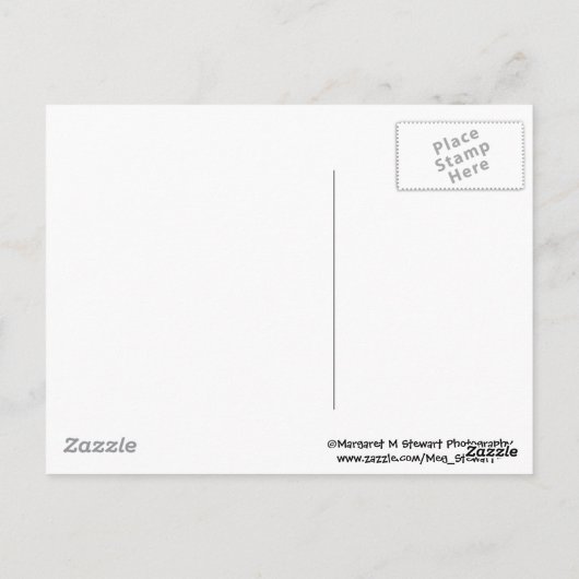 vier schattige spaanders briefkaart (Achterkant)