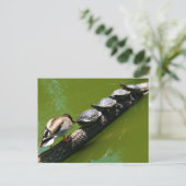 Vier schildpadden die proberen een log te doorkrui briefkaart (Staand voorkant)