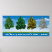 Vier Seizoenen Aspen Trees Poster (Voorkant)
