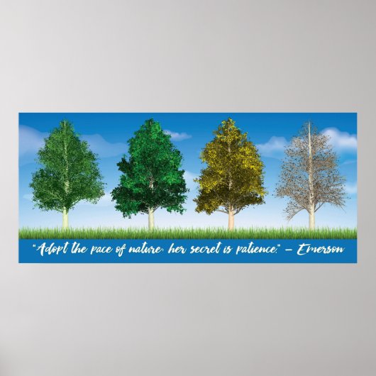 Vier Seizoenen Aspen Trees Poster (Voorkant)