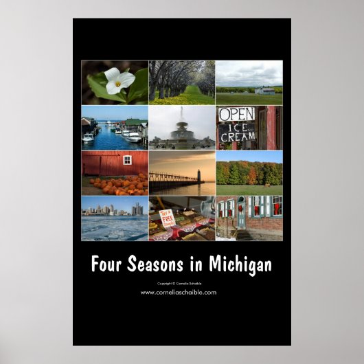vier seizoenen in het poster van michigan (Voorkant)