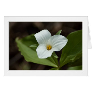 vier seizoenen op de michigan 01 - kaart