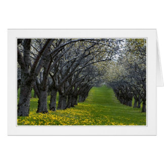 vier seizoenen op de michigan 02 - kaart