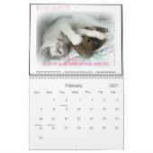 Vier Seizoenen van Kat Wisdom 101 Kalender (Feb 2027)