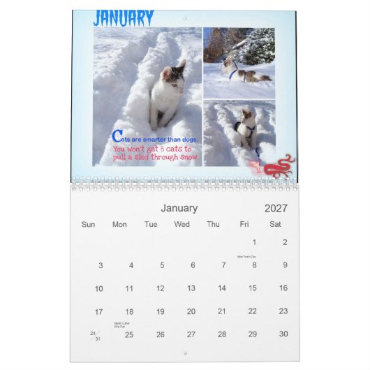 Vier Seizoenen van Kat Wisdom 101 Kalender (Jan 2027)
