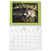 Vier Seizoenen van Kat Wisdom 101 Kalender (Mar 2027)