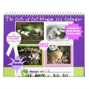 Vier Seizoenen van Kat Wisdom 101 Kalender