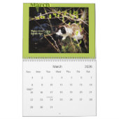 Vier Seizoenen van Kat Wisdom 101 Kalender (Mar 2026)