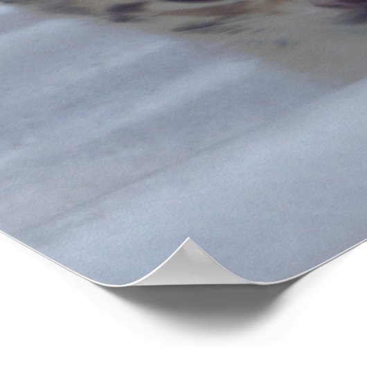 Vier Slapy Kittens in een rij Poster (Hoek)