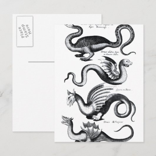 Vier soorten draak briefkaart (Voorkant / Achterkant)