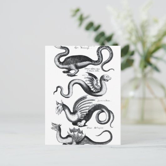 Vier soorten draak briefkaart (Staand voorkant)
