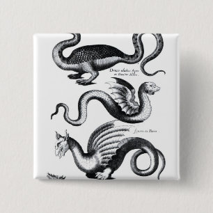 Vier soorten draak vierkante button 5,1 cm