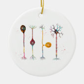 Vier soorten neuronen keramisch ornament (Voorkant)