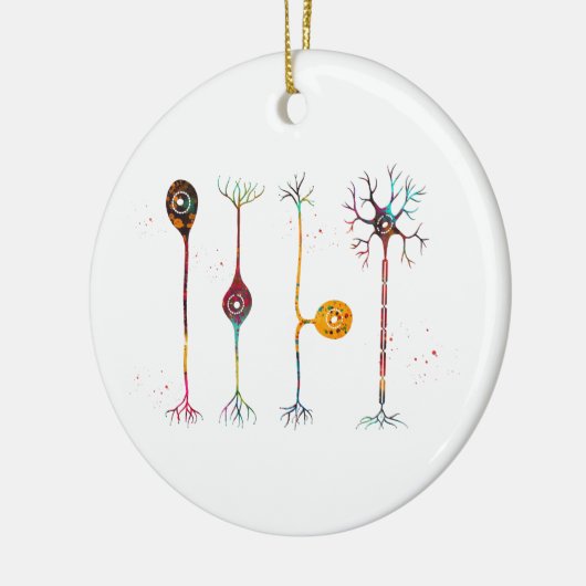 Vier soorten neuronen keramisch ornament (Links)