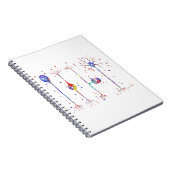 Vier soorten neuronen notitieboek (Rechterzijde)
