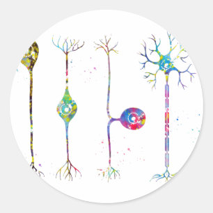 Vier soorten neuronen ronde sticker