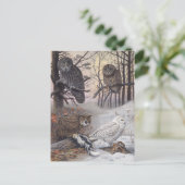 Vier soorten uilen  illustratie briefkaart (Staand voorkant)