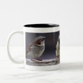 Vier Sparrows op een Omheining Tweekleurige Koffiemok (Links)
