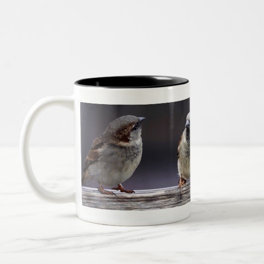 Vier Sparrows op een Omheining Tweekleurige Koffiemok (Links)