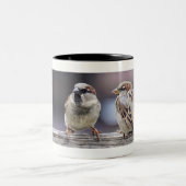Vier Sparrows op een Omheining Tweekleurige Koffiemok (Center)