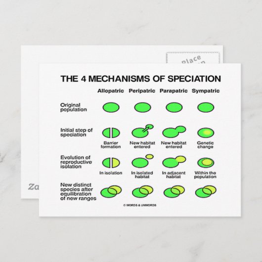 Vier specificatiemechanismen (evolutie) briefkaart (Voorkant / Achterkant)