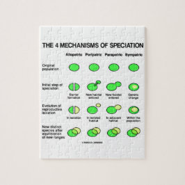 Vier specificatiemechanismen (evolutie) legpuzzel