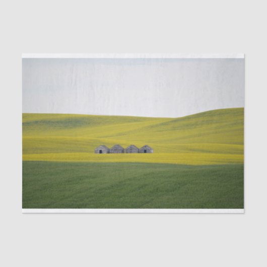 Vier streepjes gesmokkeld binnen enorme, rolheuvel tissuepapier (Voorkant)