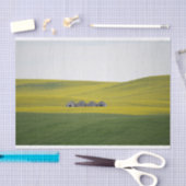 Vier streepjes gesmokkeld binnen enorme, rolheuvel tissuepapier (Craft)