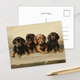 Vier teckel Puppies   Carl Reichert Briefkaart