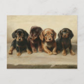 Vier teckel Puppies | Carl Reichert Briefkaart (Voorkant)