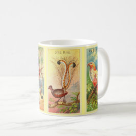  vier tropische vogels illustratie Lyre Bird Koffiemok