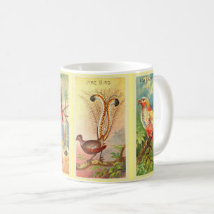  vier tropische vogels illustratie Lyre Bird Koffiemok