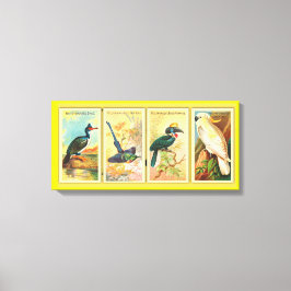  vier tropische vogels in één illustratie canvas afdruk